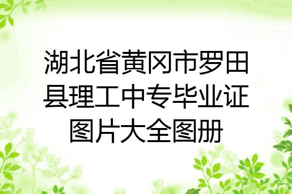 湖北省黄冈市罗田县理工中专毕业证图片大全图册