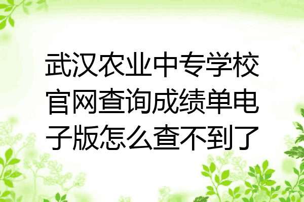 武汉农业中专学校官网查询成绩单电子版怎么查不到了