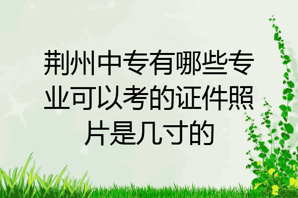荆州中专有哪些专业可以考的证件照片是几寸的