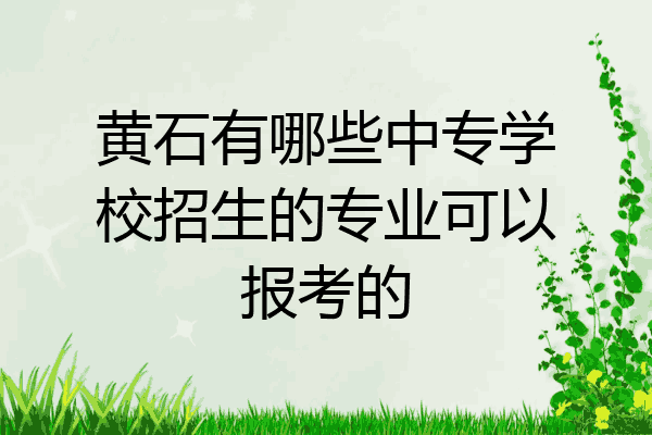 黄石有哪些中专学校招生的专业可以报考的