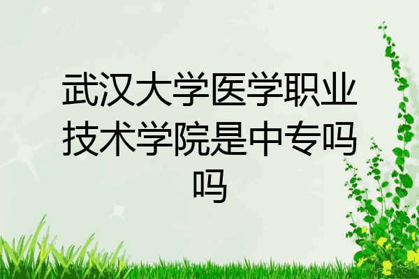 武汉大学医学职业技术学院是中专吗吗