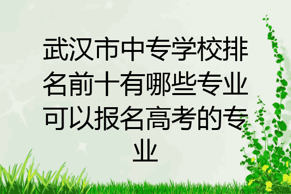 武汉市中专学校排名前十有哪些专业可以报名高考的专业