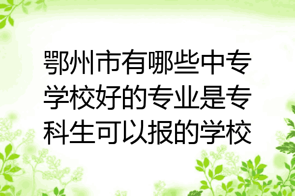 鄂州市有哪些中专学校好的专业是专科生可以报的学校