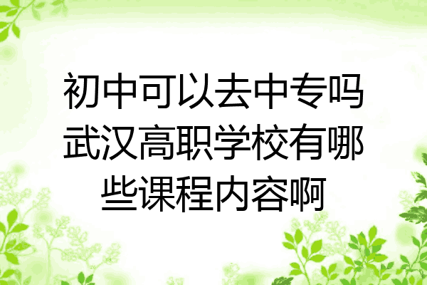 初中可以去中专吗武汉高职学校有哪些课程内容啊