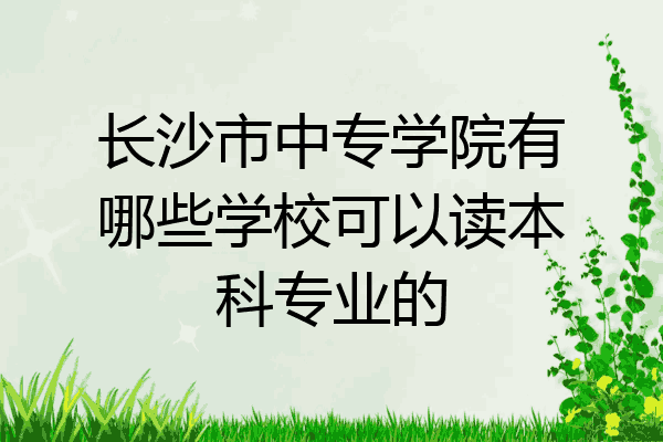 长沙市中专学院有哪些学校可以读本科专业的