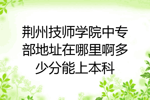 荆州技师学院中专部地址在哪里啊多少分能上本科