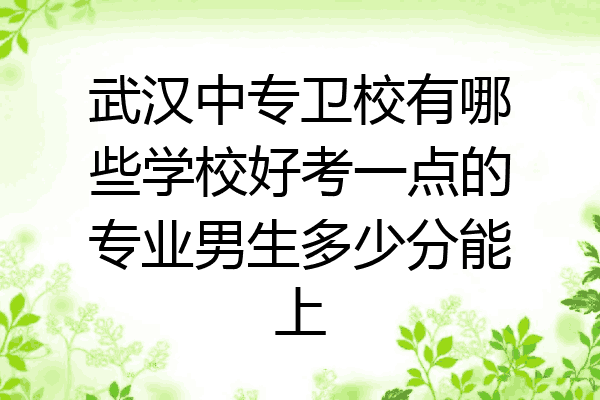 武汉中专卫校有哪些学校好考一点的专业男生多少分能上
