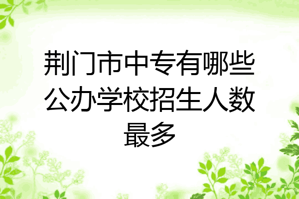 荆门市中专有哪些公办学校招生人数最多