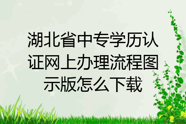 湖北省中专学历认证网上办理流程图示版怎么下载