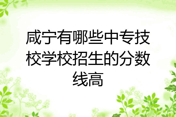 咸宁有哪些中专技校学校招生的分数线高