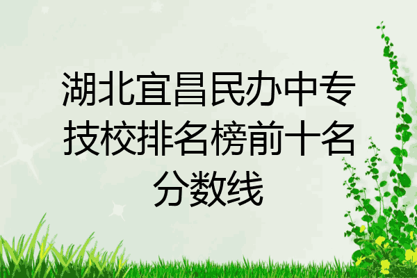 湖北宜昌民办中专技校排名榜前十名分数线