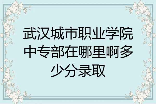 武汉城市职业学院中专部在哪里啊多少分录取