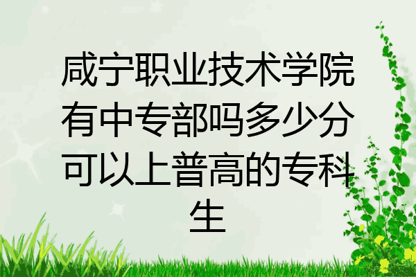 咸宁职业技术学院有中专部吗多少分可以上普高的专科生