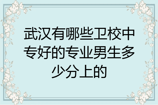 武汉有哪些卫校中专好的专业男生多少分上的