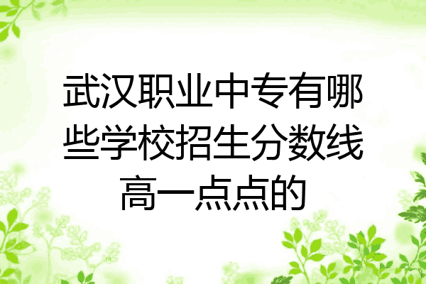 武汉职业中专有哪些学校招生分数线高一点点的