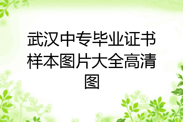 武汉中专毕业证书样本图片大全高清图