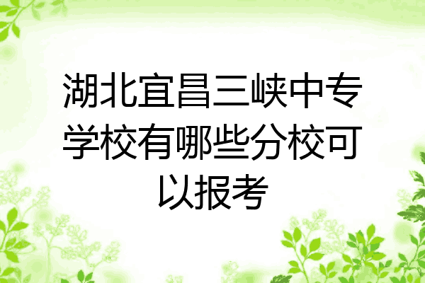 湖北宜昌三峡中专学校有哪些分校可以报考