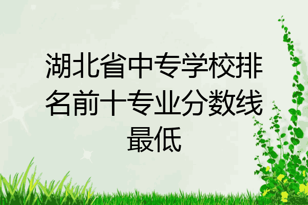 湖北省中专学校排名前十专业分数线最低