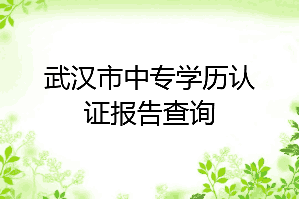 武汉市中专学历认证报告查询