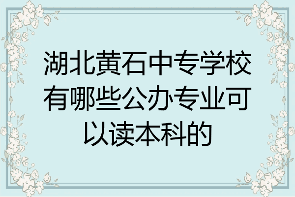湖北黄石中专学校有哪些公办专业可以读本科的