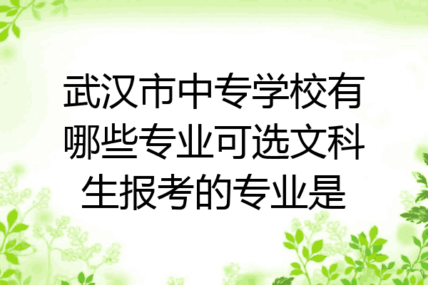 武汉市中专学校有哪些专业可选文科生报考的专业是
