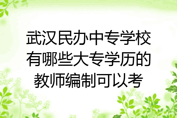 武汉民办中专学校有哪些大专学历的教师编制可以考