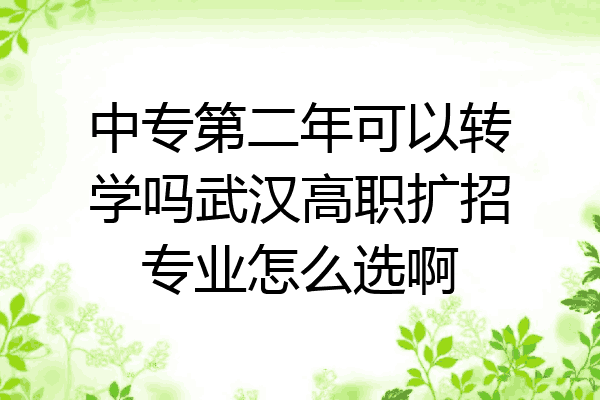 中专第二年可以转学吗武汉高职扩招专业怎么选啊