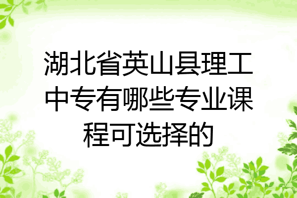 湖北省英山县理工中专有哪些专业课程可选择的