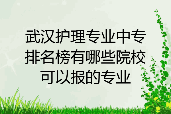 武汉护理专业中专排名榜有哪些院校可以报的专业