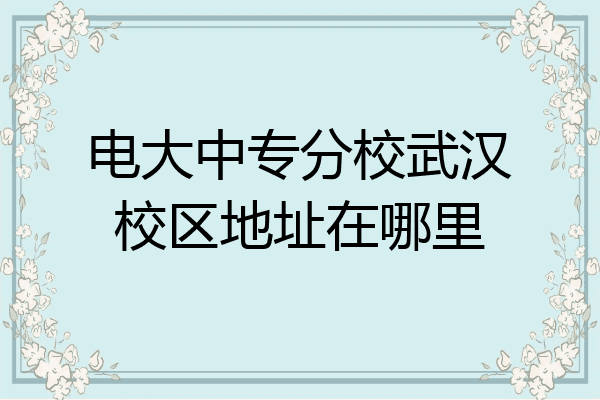 电大中专分校武汉校区地址在哪里