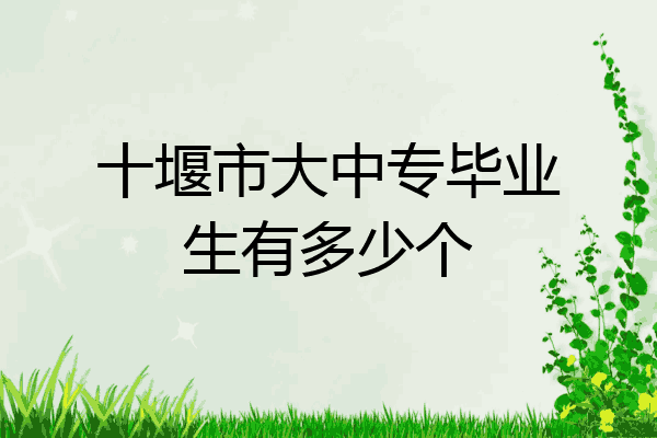 十堰市大中专毕业生有多少个