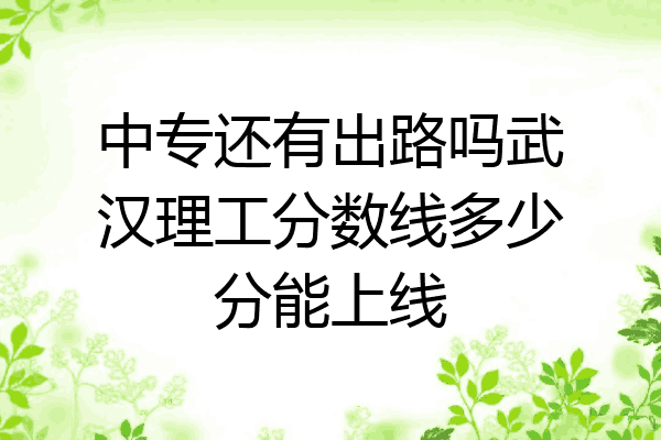 中专还有出路吗武汉理工分数线多少分能上线