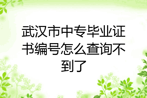 武汉市中专毕业证书编号怎么查询不到了