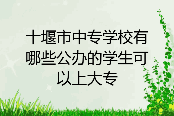 十堰市中专学校有哪些公办的学生可以上大专