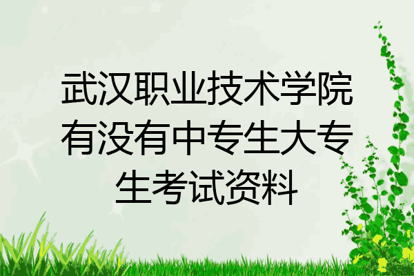 武汉职业技术学院有没有中专生大专生考试资料