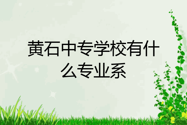 黄石中专学校有什么专业系