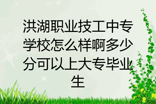 洪湖职业技工中专学校怎么样啊多少分可以上大专毕业生