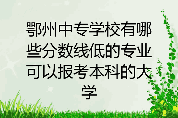 鄂州中专学校有哪些分数线低的专业可以报考本科的大学