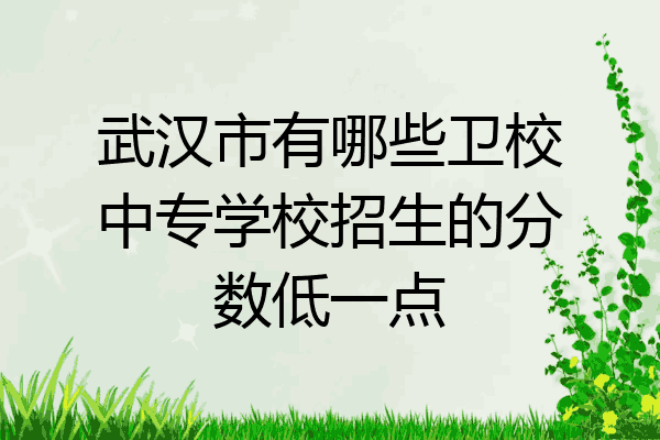 武汉市有哪些卫校中专学校招生的分数低一点