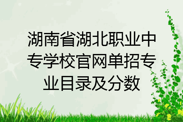 湖南省湖北职业中专学校官网单招专业目录及分数