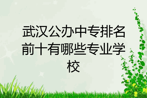 武汉公办中专排名前十有哪些专业学校