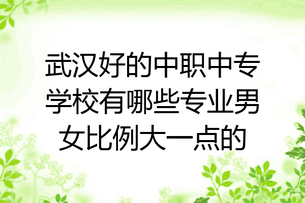武汉好的中职中专学校有哪些专业男女比例大一点的