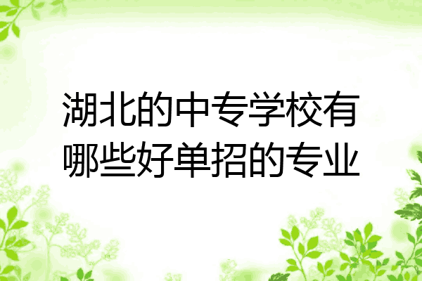 湖北的中专学校有哪些好单招的专业