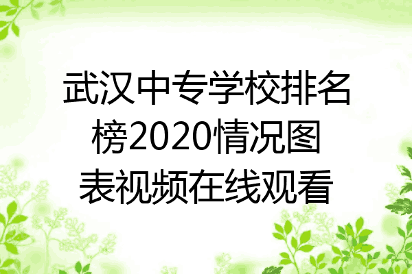 武汉中专学校排名榜2020情况图表视频在线观看