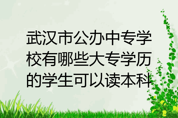武汉市公办中专学校有哪些大专学历的学生可以读本科