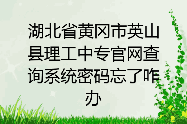 湖北省黄冈市英山县理工中专官网查询系统密码忘了咋办