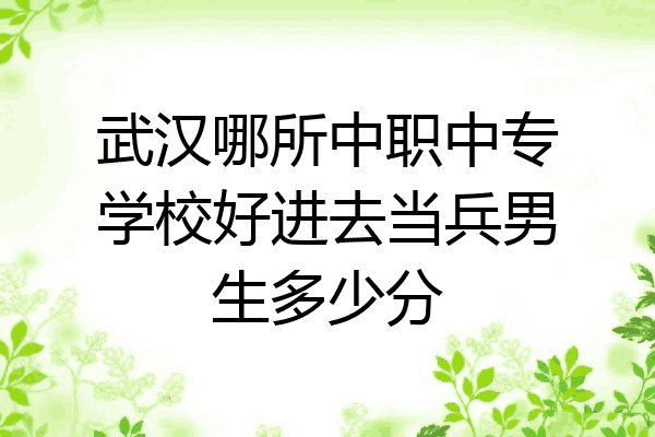 武汉哪所中职中专学校好进去当兵男生多少分