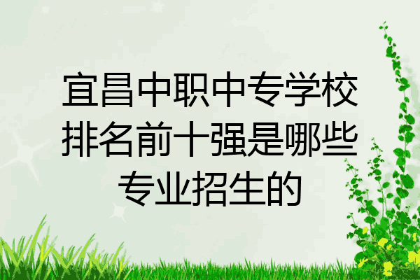 宜昌中职中专学校排名前十强是哪些专业招生的