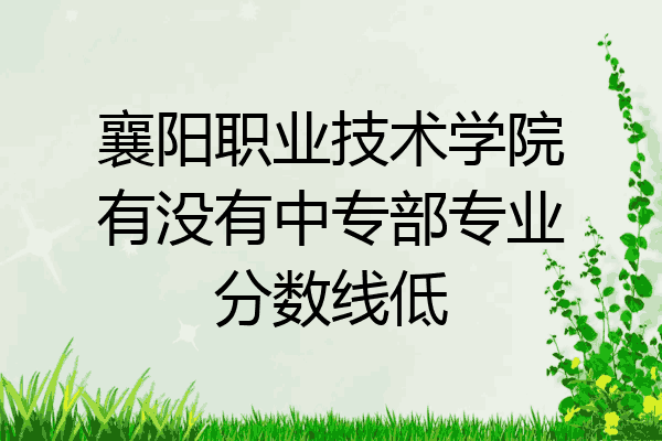 襄阳职业技术学院有没有中专部专业分数线低