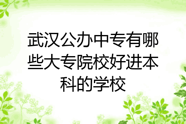 武汉公办中专有哪些大专院校好进本科的学校